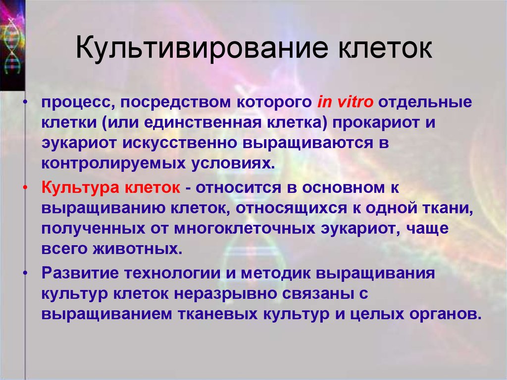 Процесс посредством которого. Культивирование клеток. Култтивировпние еоеирк. Методы культивирования клеток. Культивирование клеток животных.