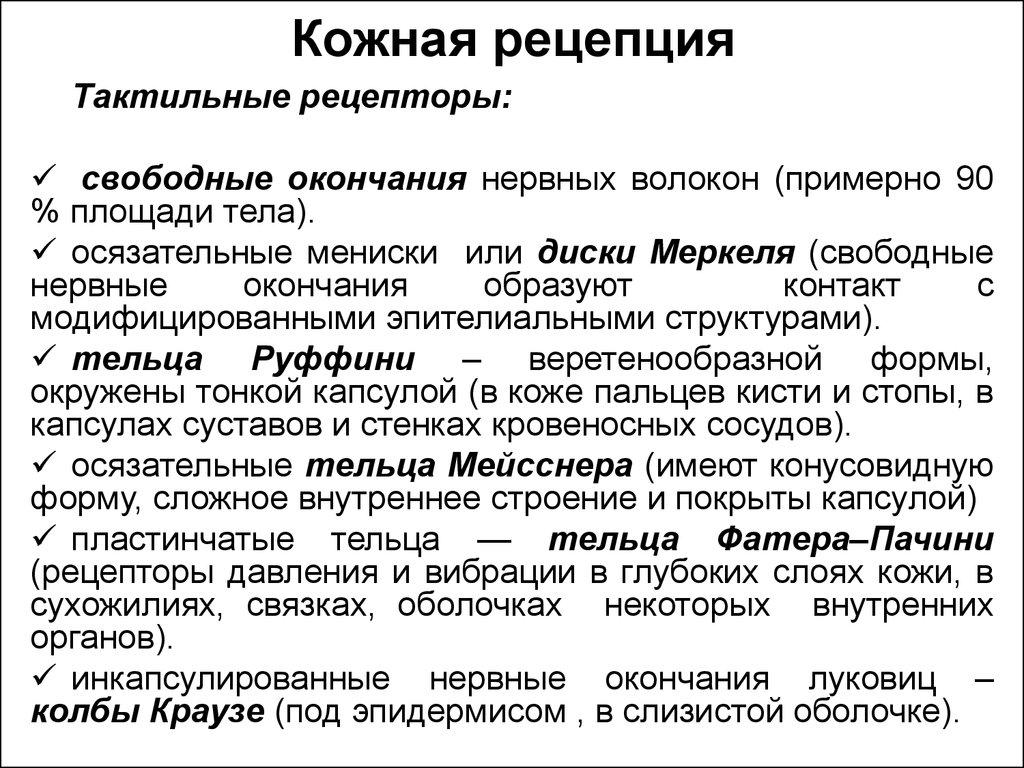 Какие виды рецепторов кожи вам известны. Кожная рецепция. Кожная рецепция характеристика рецепторов. Кожная рецепция физиология. Кожная рецепция функции.