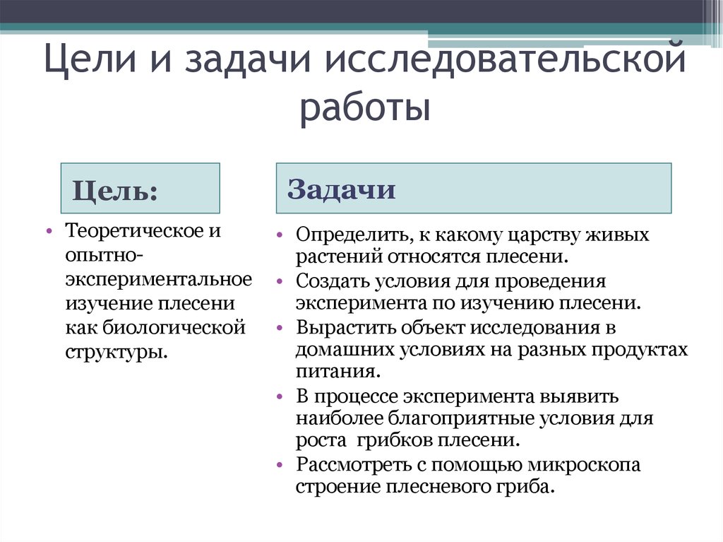 Задачи исследования проекта