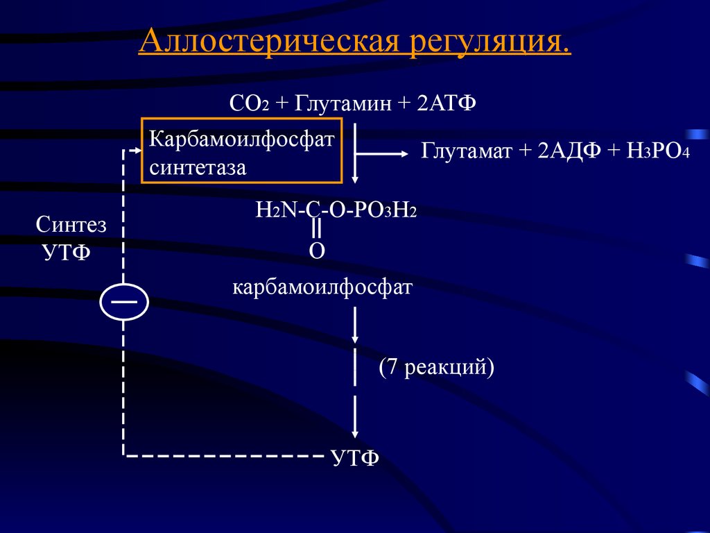 Синтез н. Аллостерическая регуляция АТФ. Структура УТФ. Со2 + nh3 + 2 АТФ карбамоилфосфат + 2 АДФ + Ф. Структура УТФ биохимия.