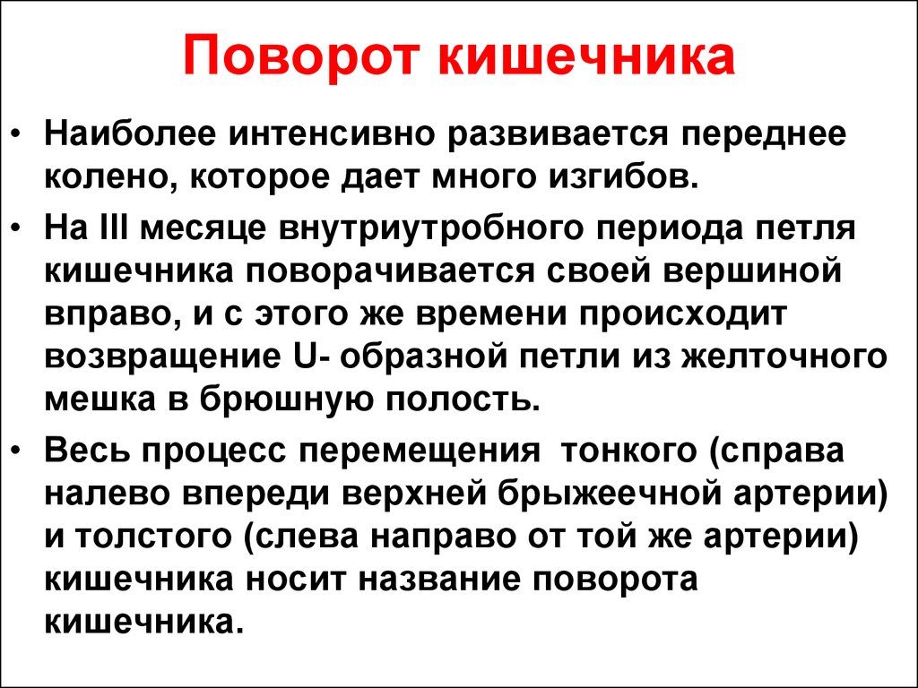 Презентация возрастные особенности развития пищеварительной системы