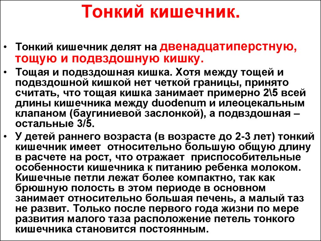 Длина тонкого кишечника у детей. Особенности тонкой кишки. Тонкий кишечник возрастные особенности. Возрастные особенности тонкой кишки. Возрастные особенности кишечника.