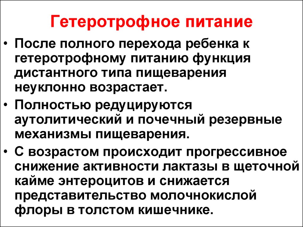 Что такое гетеротрофный тип питания