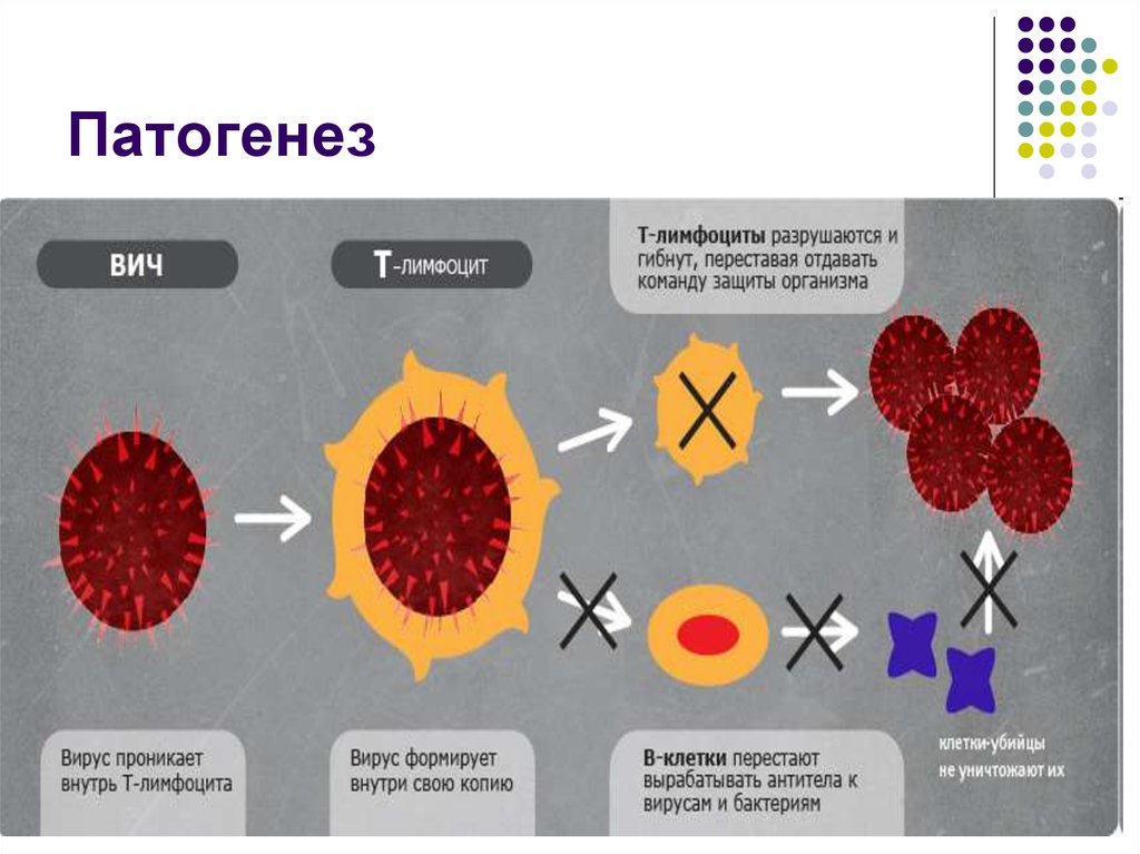 Поражения клеток. Стадии патогенеза ВИЧ инфекции. Патогенез ВИЧ инфекции схема. Патогенез вируса ВИЧ В схеме. ВИЧ стадия развития схема.