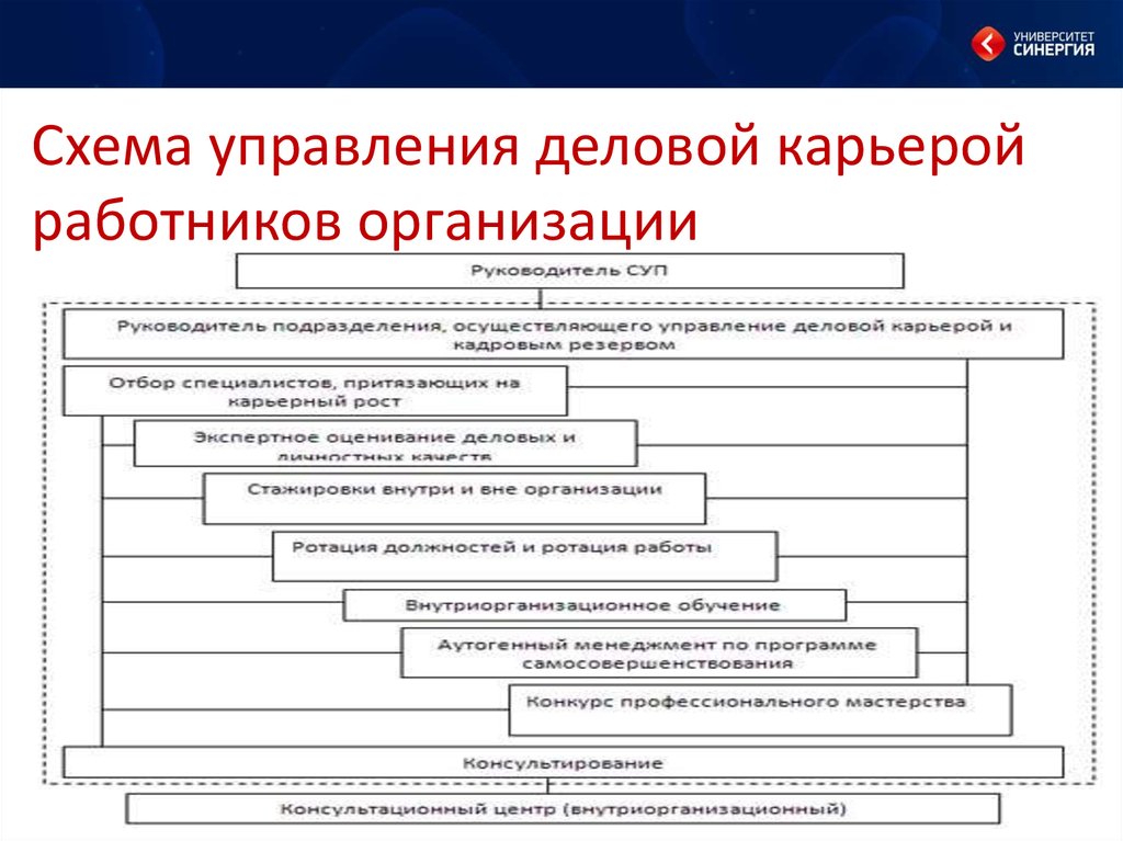 Организационная структура университета синергия схема