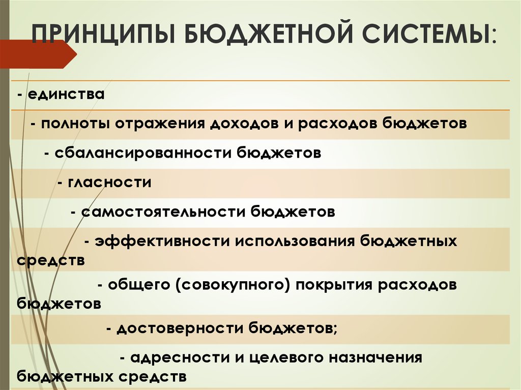 На каких принципах строится бюджетная система россии. Принципы бюджетной системы. Принципы бюджетной системы схема. Принципы бюджет системы. Принципы бюджета.