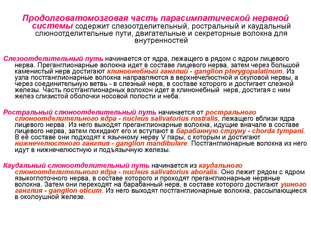 Системой содержащей. Продолговатомозговая часть парасимпатической нервной системы. Продолговатомозговая часть вегетативной нервной системы. Парасимпатические волокна каудального слюноотделительного пути. Слезоотделительное ядро.