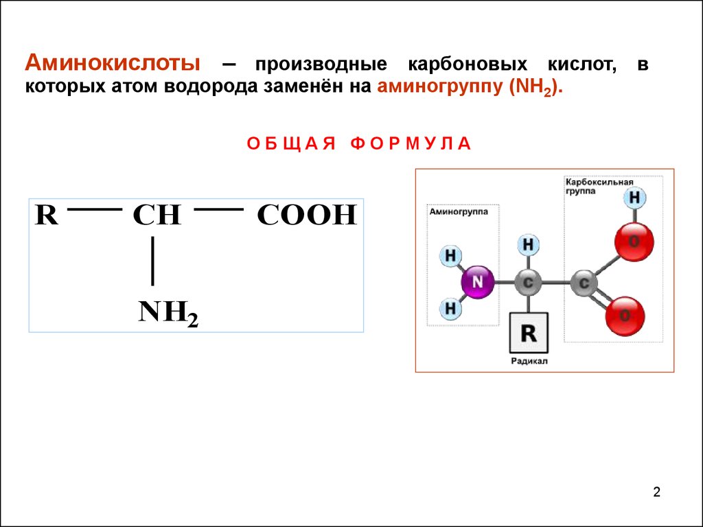 При сжигании дипептида природного происхождения. Аминокислоты. Пептидные аминокислоты. Пептиды производные аминокислот. Схема образования дипептида.