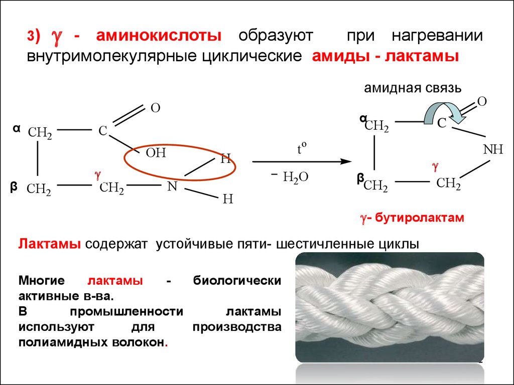 Связь аминокислот. Нагревание бета аминокислот. Циклические амиды лактамы. Нагрев аминокислот. Лактам образуется при нагревании.