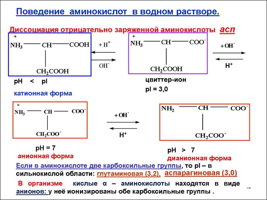 Расстояние между аминокислотами. Уравнение диссоциации аминокислот. Диссоциация нейтральных аминокислот. Диссоциация кислых аминокислот. Диссоциация аминокислот Серина.