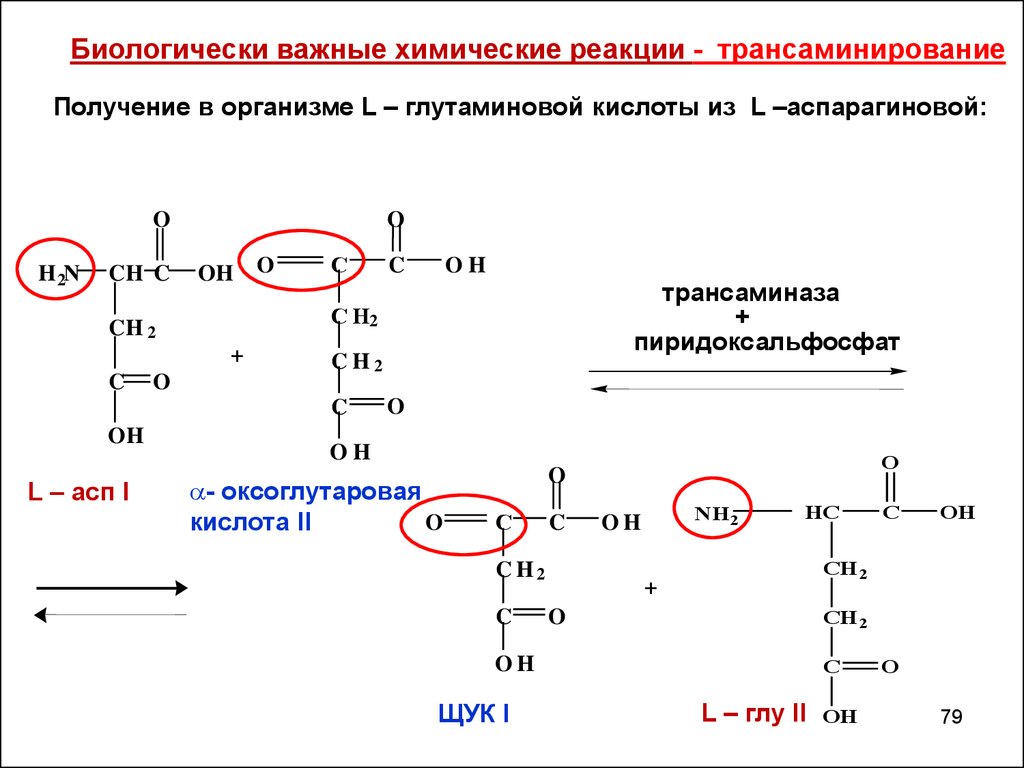 Для синтеза кислот используют. Схема получения глутаминовой кислоты. Глутаминовая кислота трансаминирование. Трансаминирование аспарагина. Реакция трансаминирования аспарагиновой кислоты.