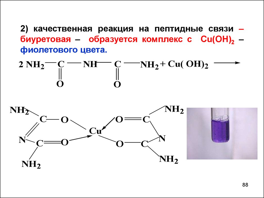 Полипептиды с азотной кислотой дают фиолетовое окрашивание. Биуретовая реакция на пептидную связь. Качественная реакция на пептидную связь- биуретовая реакция. Биуретовая реакция на пептидную связь реакция. Качественная реакция на пептидную связь.