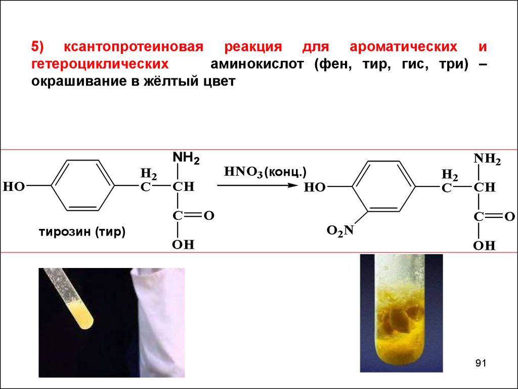 Белок концентрированная азотная кислота. Цветные реакции на белки ксантопротеиновая реакция. Ксантопротеиновая реакция на тирозин. Ксантопротеиновая реакция на ароматические аминокислоты. Качественные реакции на аминокислоты ксантопротеиновая.