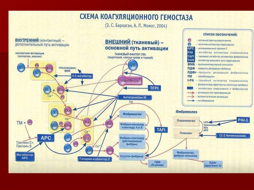 Исследование гемостаза