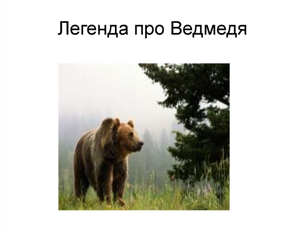 Легенда про Ведмедя