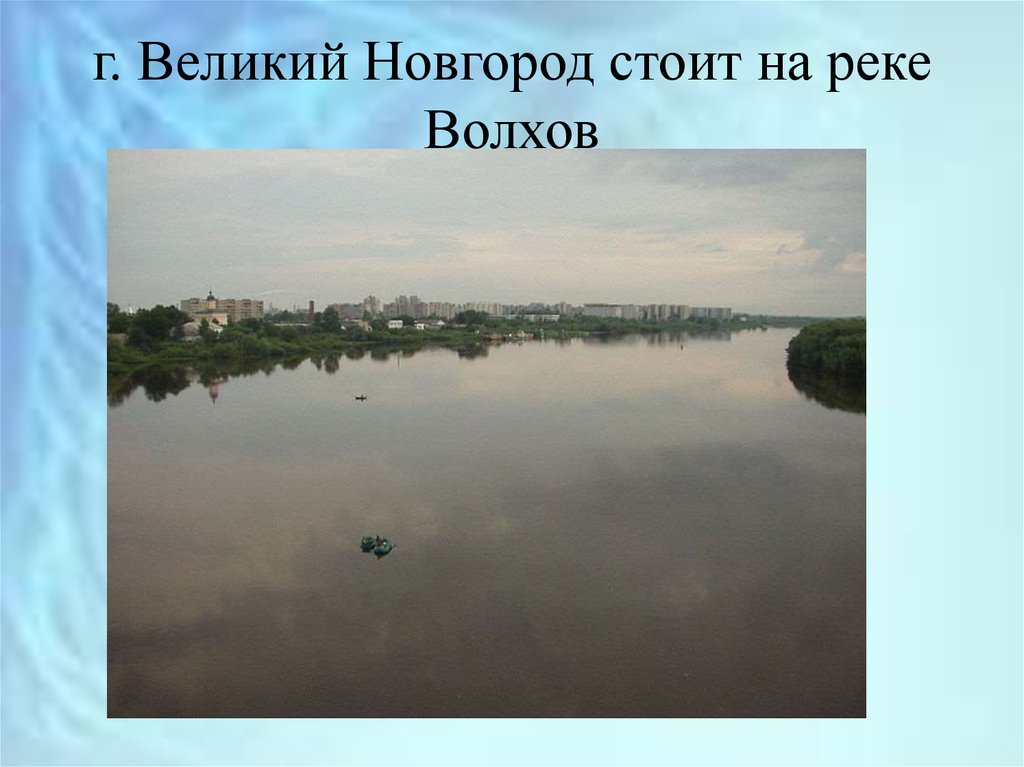 Река в великом новгороде название. Река Волхов Великий Новгород притоки. Притоки реки Волхов. Растения и животные реки Волхов. Какая река протекает в Великом Новгороде.