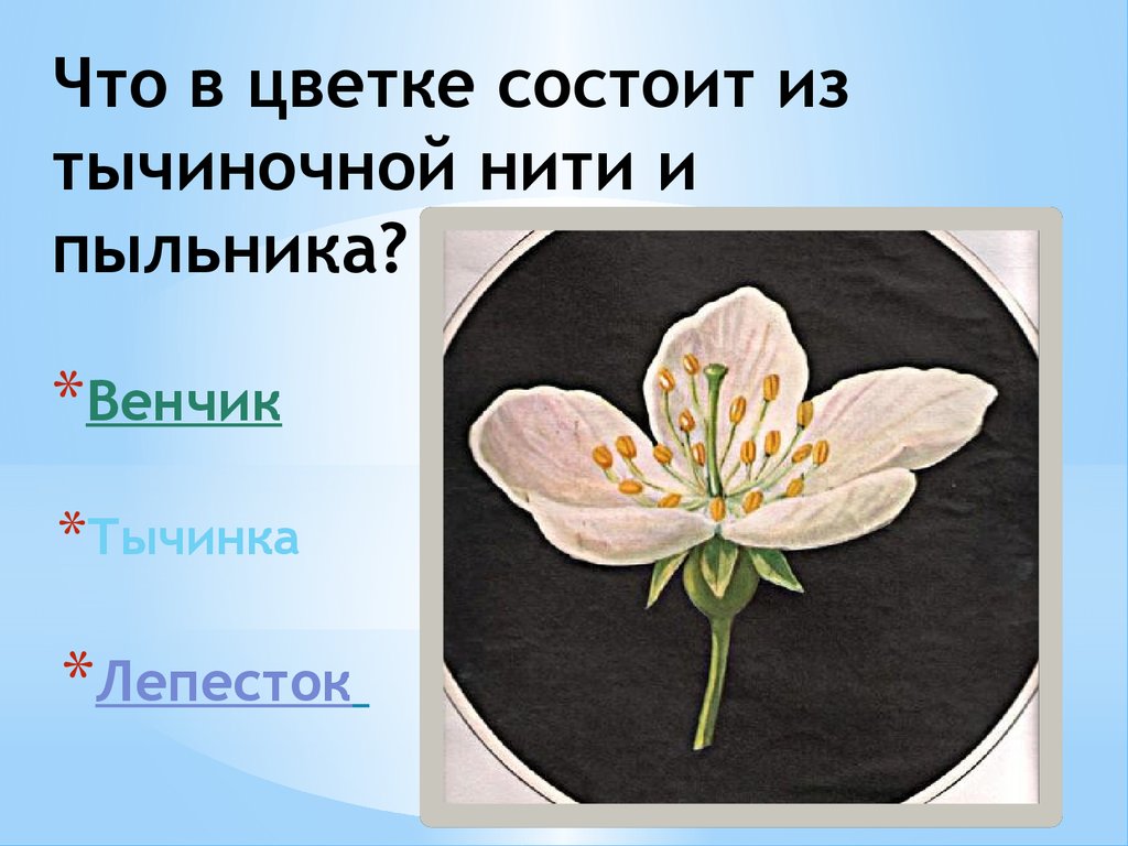 Из скольких цветов состоит белый