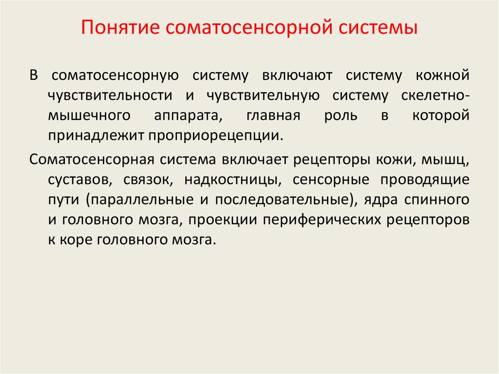 Соматосенсорный анализатор общий план строения и функции проводящие пути