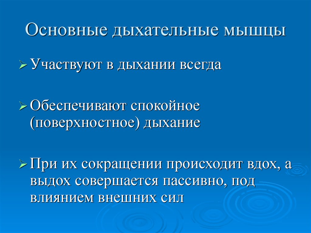 Основные дыхательные мышцы. Поверхностное дыхание. Спокойный вдох осуществляется за счет сокращения мышц. Дополните предложения основные дыхательные мышцы это.