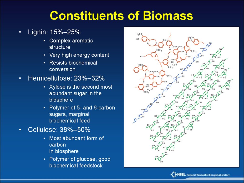 Constituents of Biomass