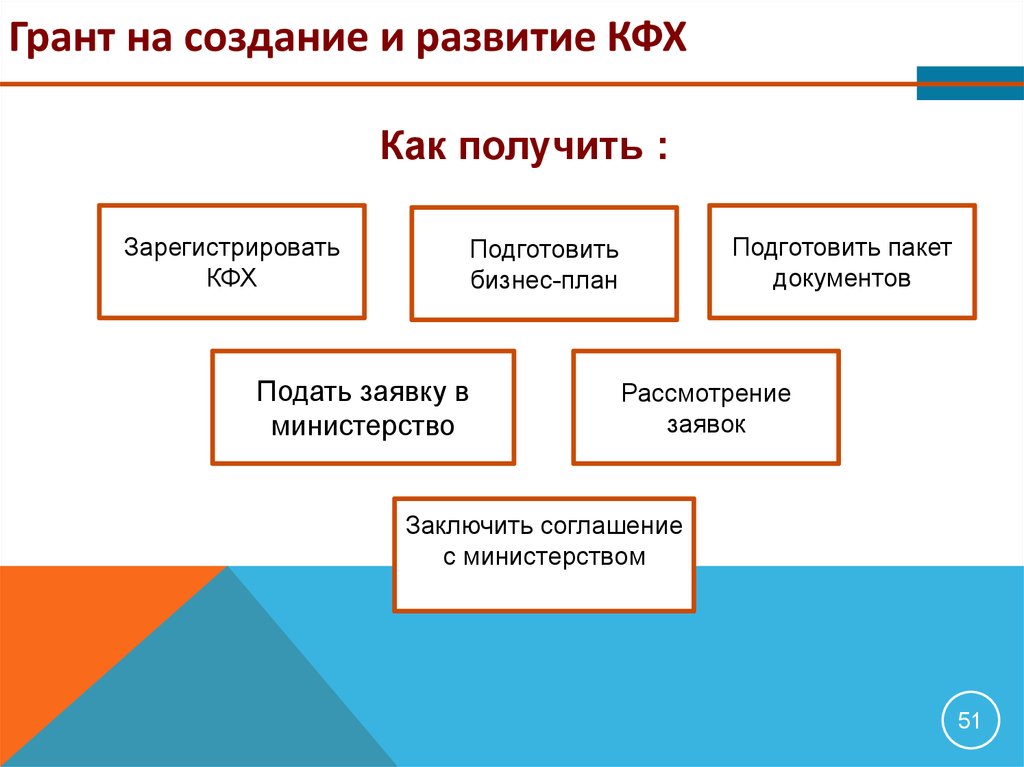 Презентация кфх на получение гранта