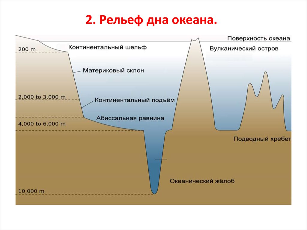 Соотнеси элементы рельефа дна океана с точками на изображении