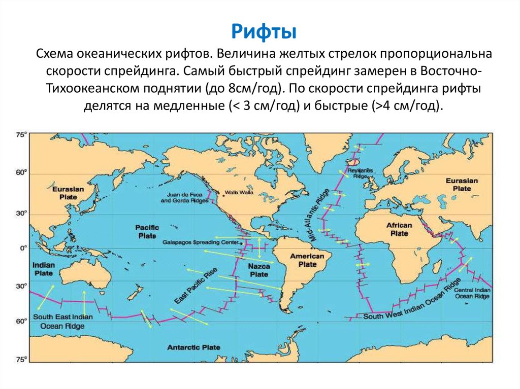 Длина самого протяженного океанического хребта