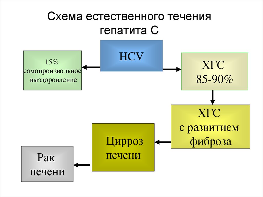 Схема естественного течения гепатита С
