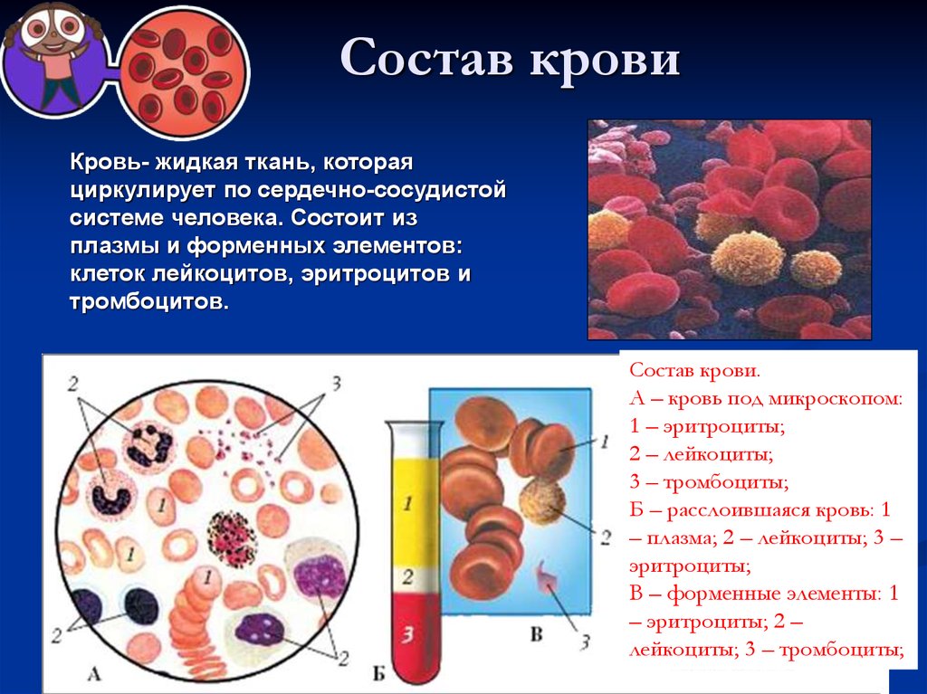Щелочной состав крови