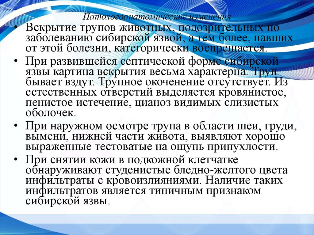 Патологоанатомическая картина при сибирской язве представлена всеми описанными изменениями кроме