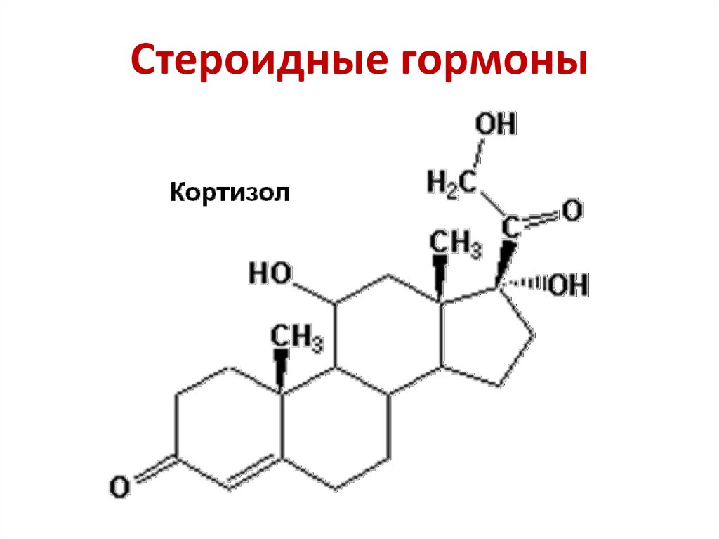 Стероидные гормоны картинки