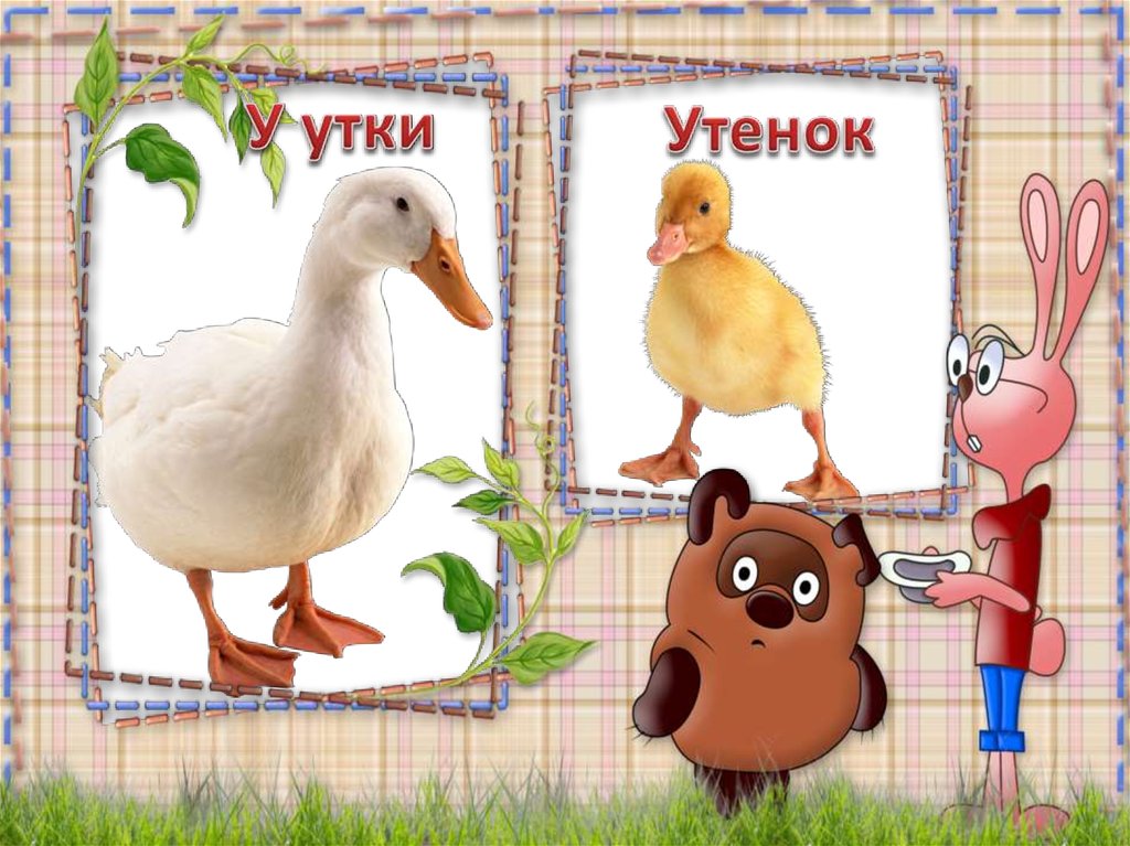 Утенок