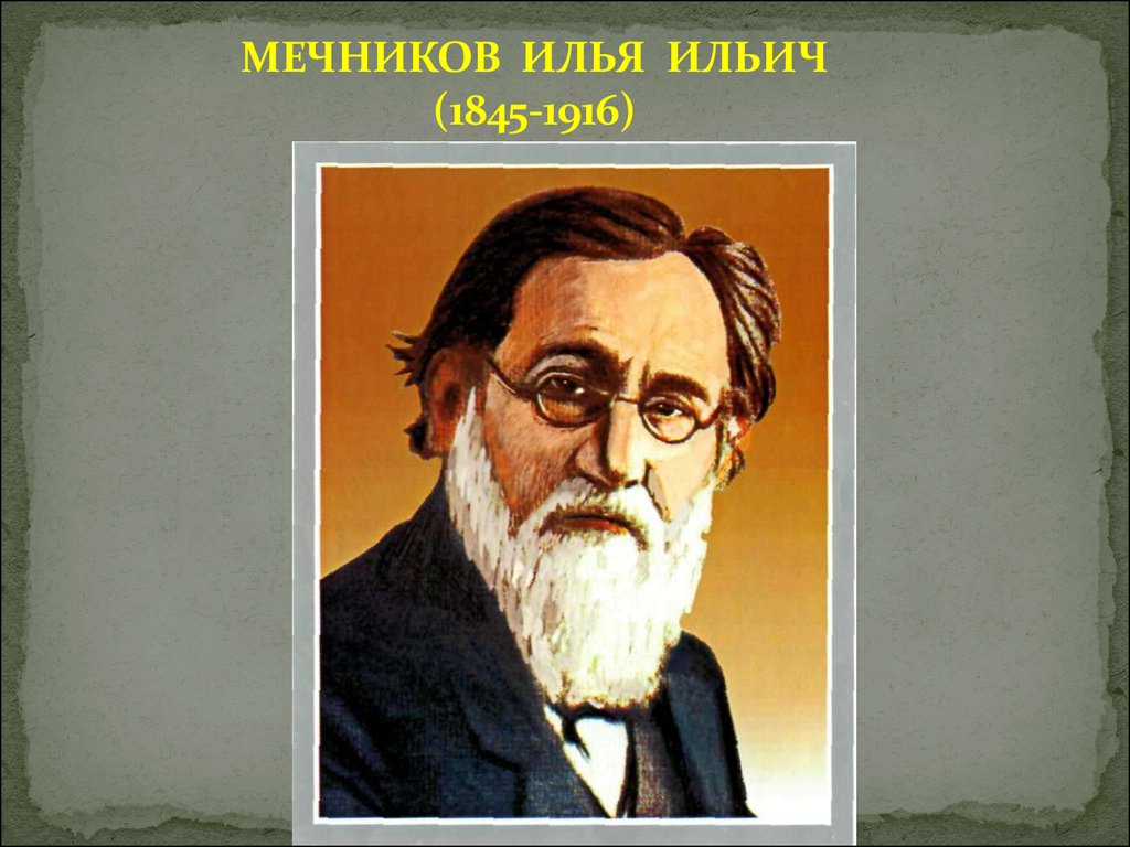 Мечников портрет ученого. Илья Ильич Мечников. Илья Ильич Мечников (1845-1926). Ильи Ильича Мечникова (1845—1916). Илья Ильич Мечников портрет.