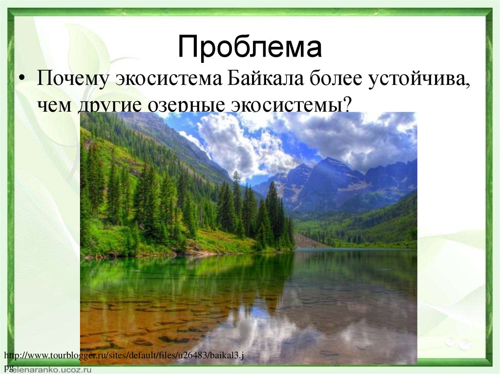 Более устойчивее. Экосистема Байкала. Биогеоценоз Байкал. Биогеоценоз озера Байкал. Почему экосистема Байкала более устойчива чем другие экосистемы.