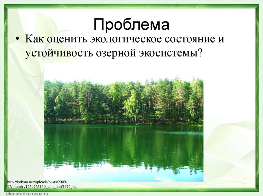 Проблемы устойчивости лесных экосистем в россии проект