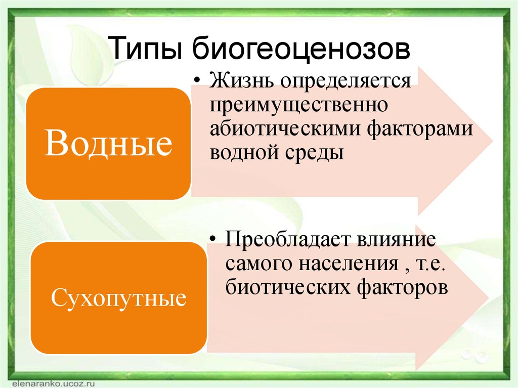 Схема многообразие биогеоценозов