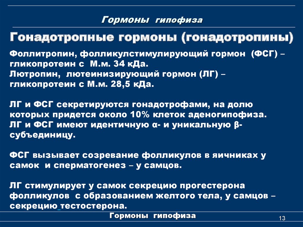 Гонадотропные гормоны. Гонадотропные гормоны гипофиза. Гонадотропный гормон функции. Гонадотропные гормоны гипофиза функции.