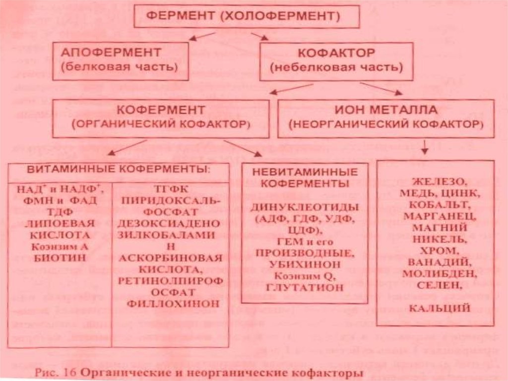 book eco nationalism anti nuclear activism and national identity in russia lithuania and ukraine