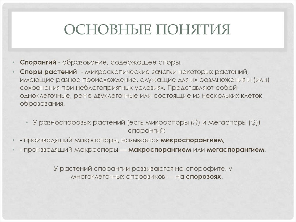 Термины спора. Спор понятие и определение. Сущность понятия спор. Термин споры. Место образования спор называются.