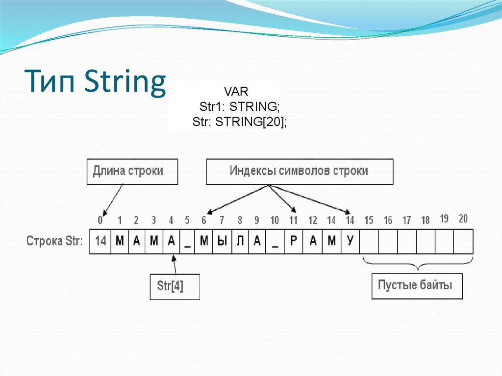 Виды строк. Тип String. Тип данных String. String это какой Тип данных. Строковый Тип.