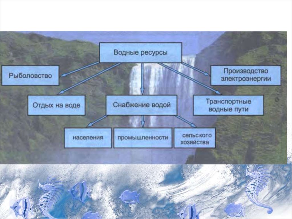 Эволюция гидросферы. Объекты гидросферы. Схема классификации объектов гидросферы. Составь схему классификации объектов гидросферы. Составьте схему классификации объектов гидросферы.