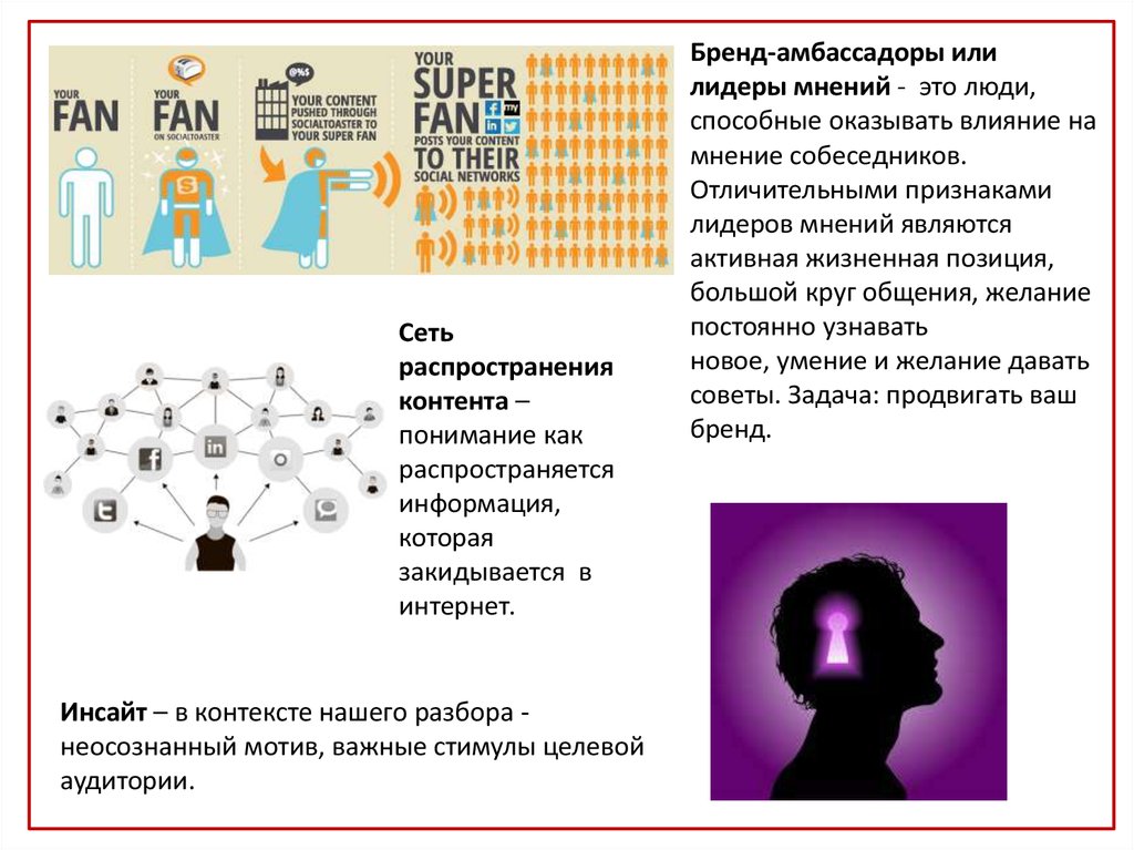 Мнение сети. Концепция лидеров мнения. Инсайт целевой аудитории. Лидеры мнений примеры. Инсайт аудитории пример.