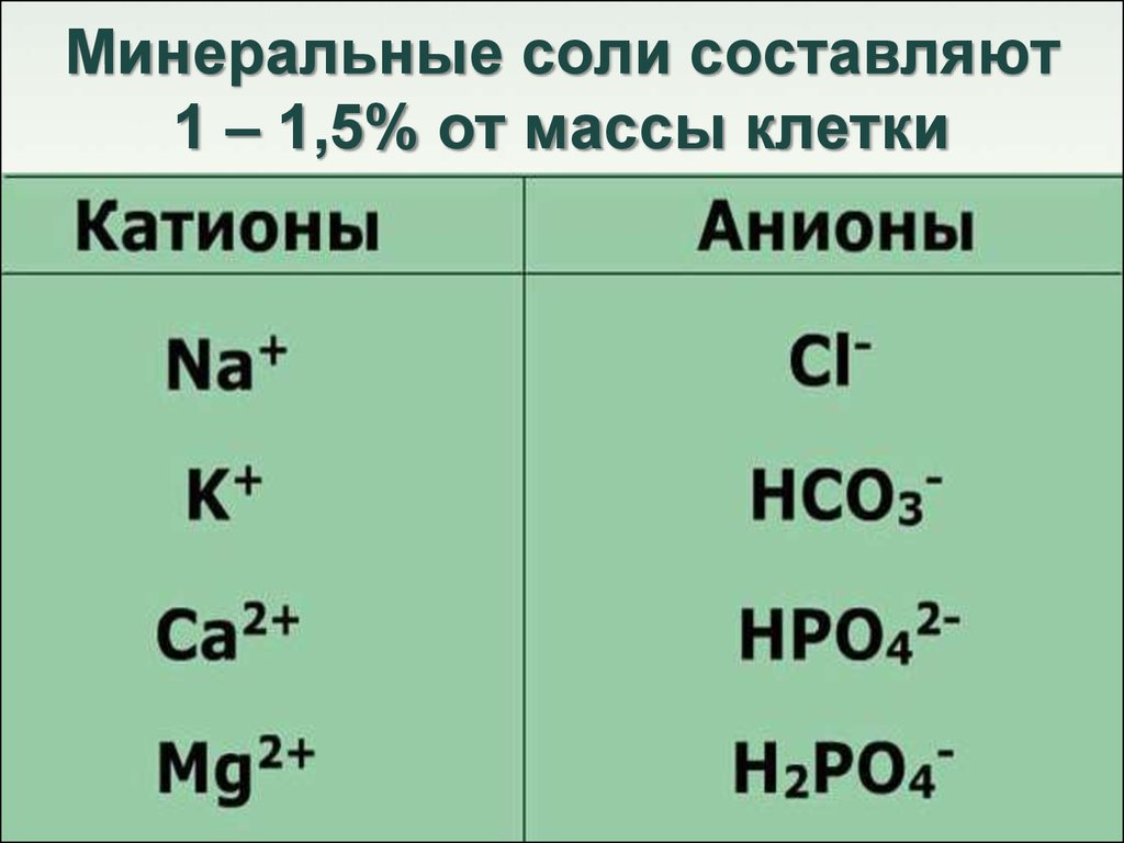 Катионы заряжены положительно