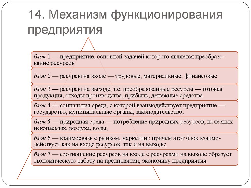 Характер функционирования организации