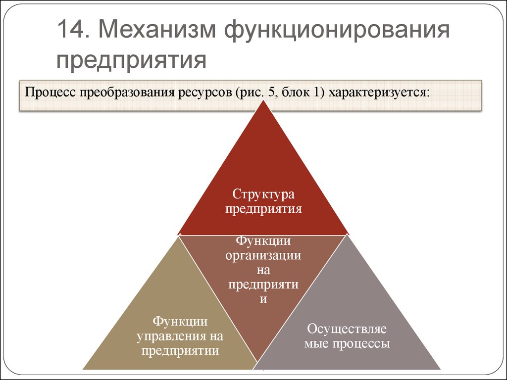 Основные принципы функционирования организаций