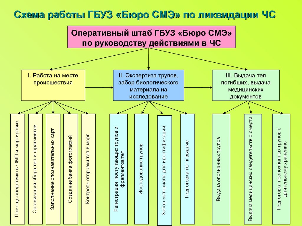 Схема внешней и внутренней структуры судебно медицинской службы