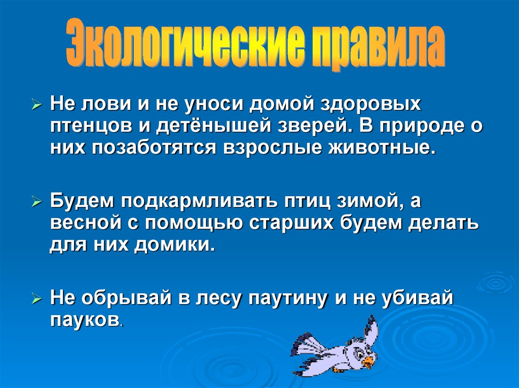 Охрана животных презентация 3