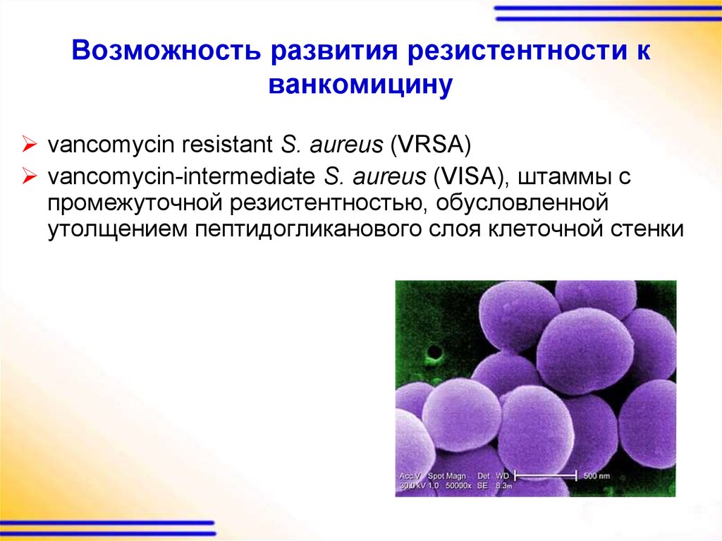 Резистентность клетки. VRSA стафилококки. Штамм стафилококка резистентного. Клеточный штамм это. Резистентность стафилококков.