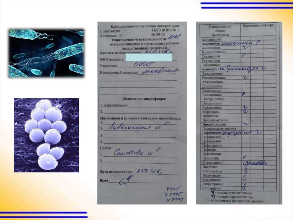 Форма 011 у карта интенсивной терапии