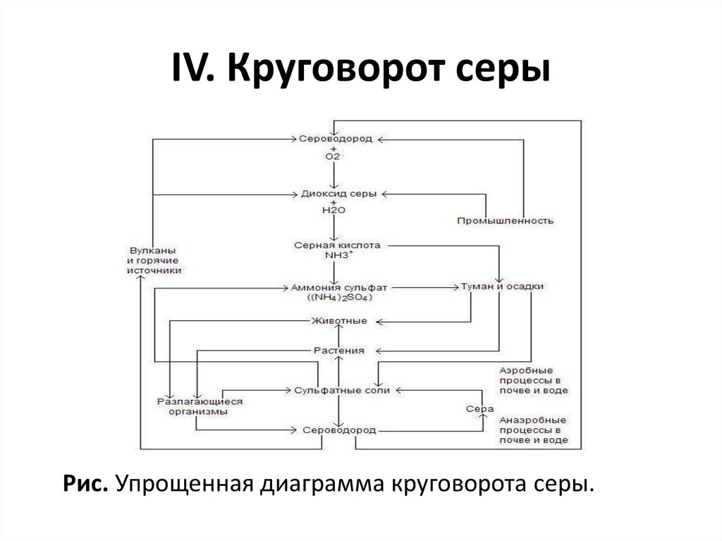 Круговорот серы в природе схема 9 класс биология